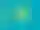 KZ flag