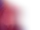 NP flag